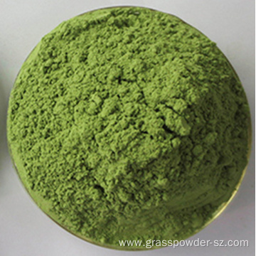 organic barley grass leaf powder